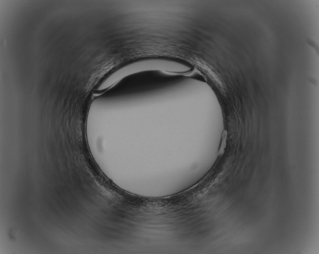 X0000091920489200710031042