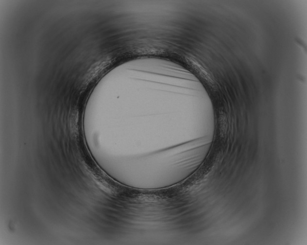 X0000091920490200710031042