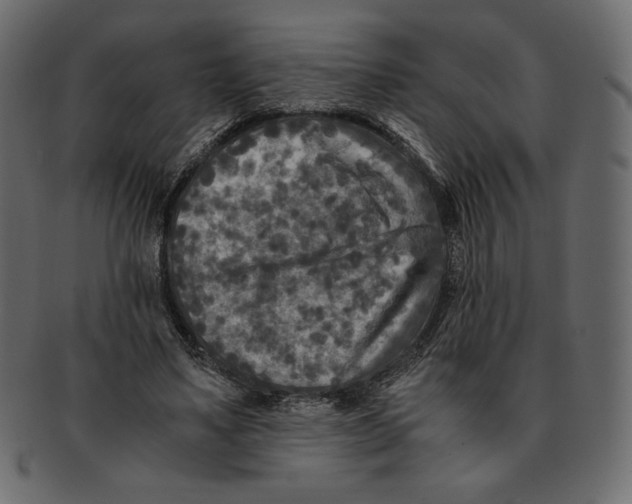 X0000091920491200710031042