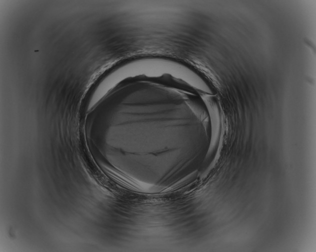 X0000091920492200710031042