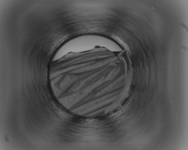 X0000091920493200710031042