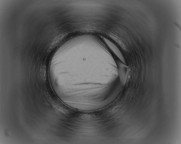 X0000091920494200710031042
