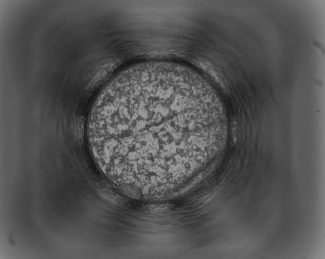X0000091920495200710031042