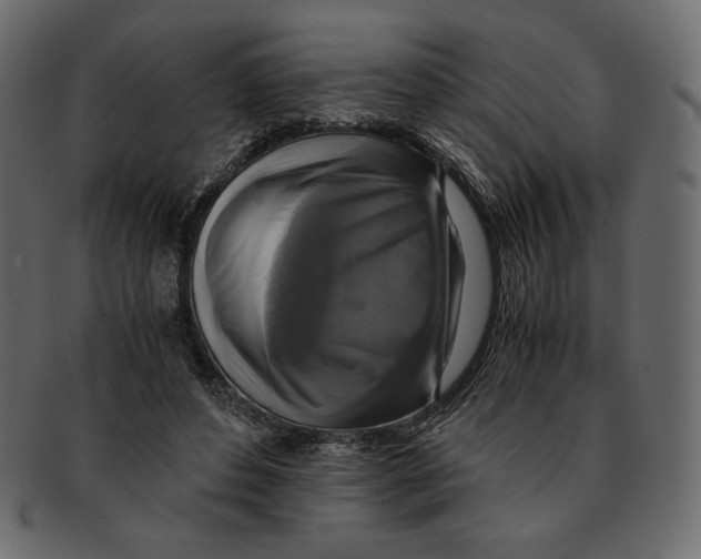X0000091920496200710031042