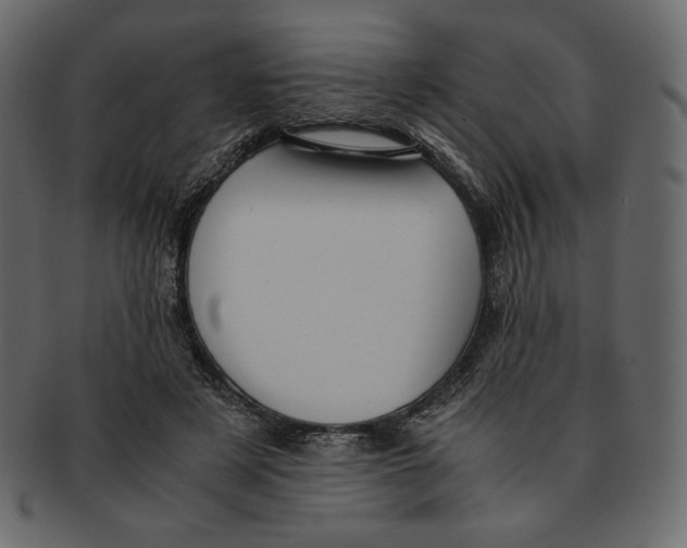 X0000091920497200710031042