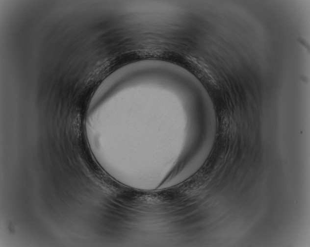 X0000091920498200710031042
