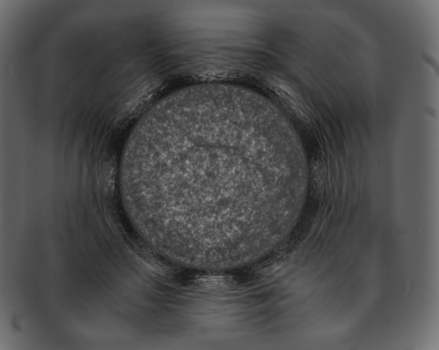 X0000091920499200710031042