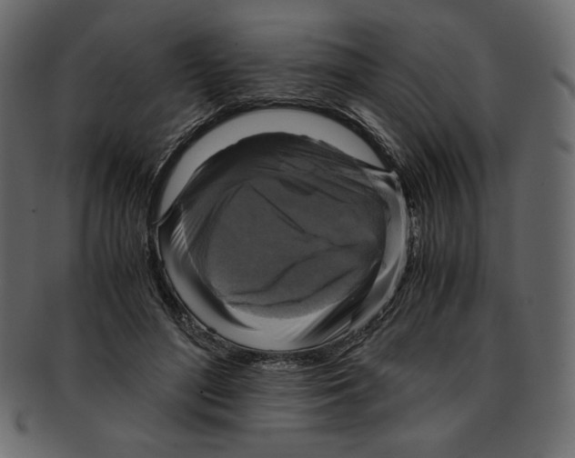 X0000091920500200710031042