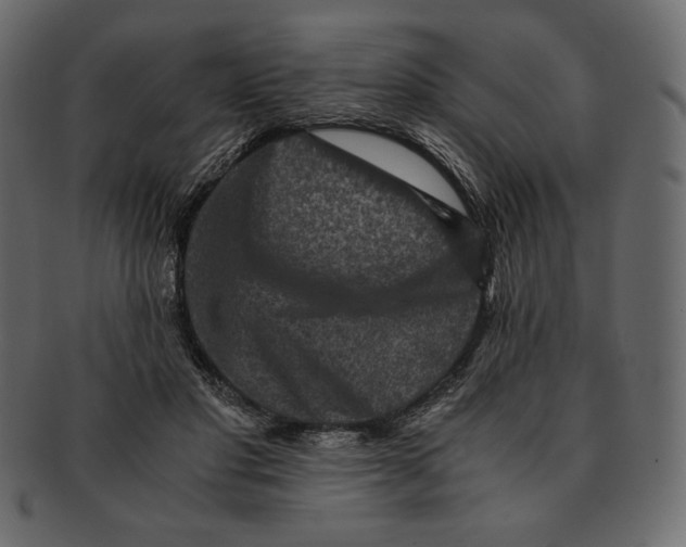 X0000091920501200710031042