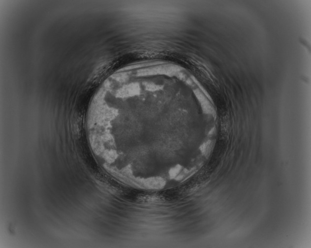 X0000091920503200710031042