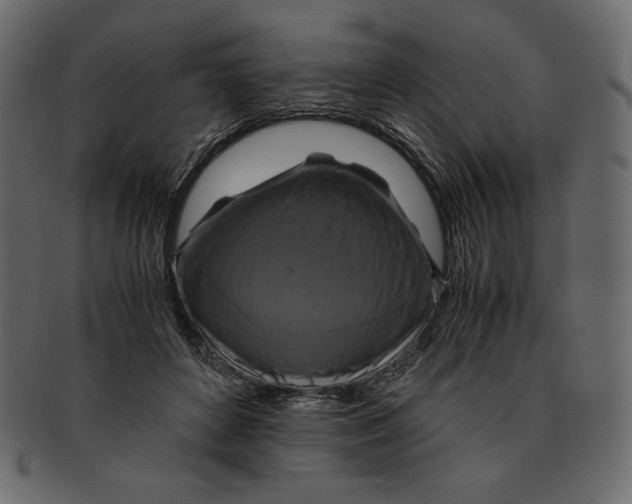 X0000091920504200710031042