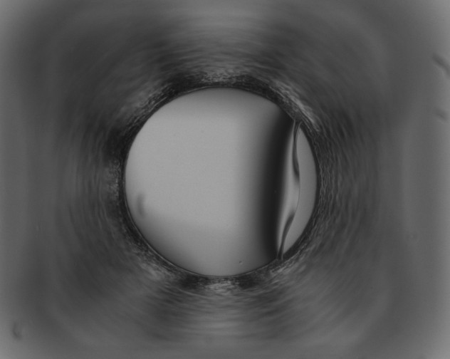 X0000091920505200710031042
