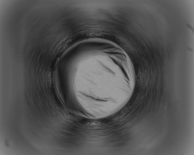 X0000091920506200710031042