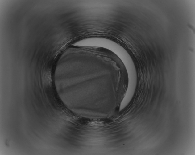 X0000091920508200710031042