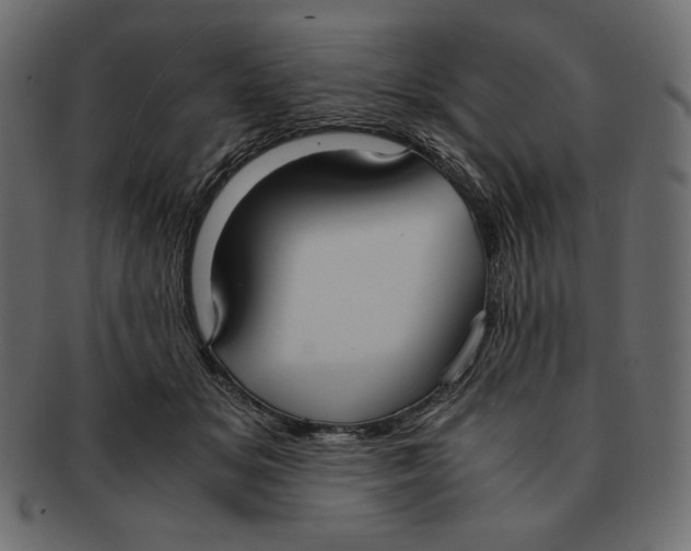 X0000091920509200710031042