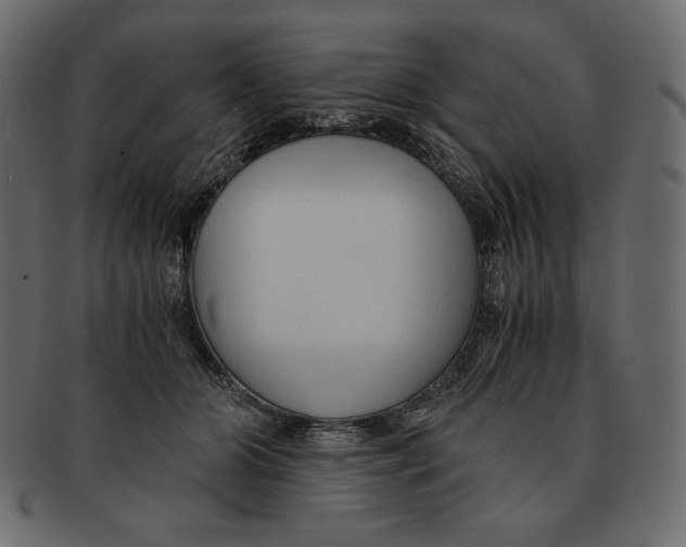X0000091920510200710031042