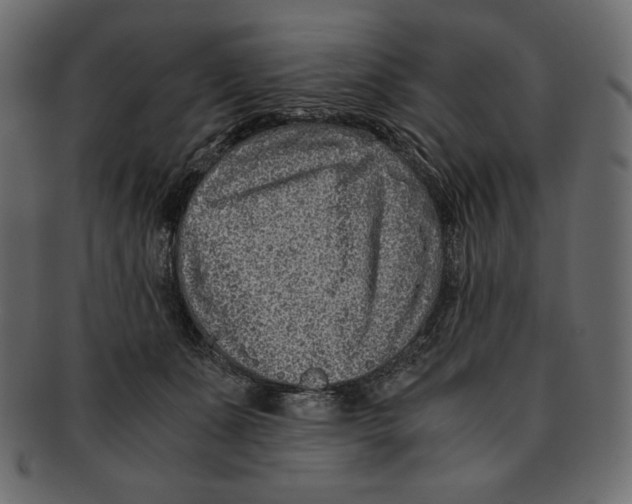 X0000091920511200710031042
