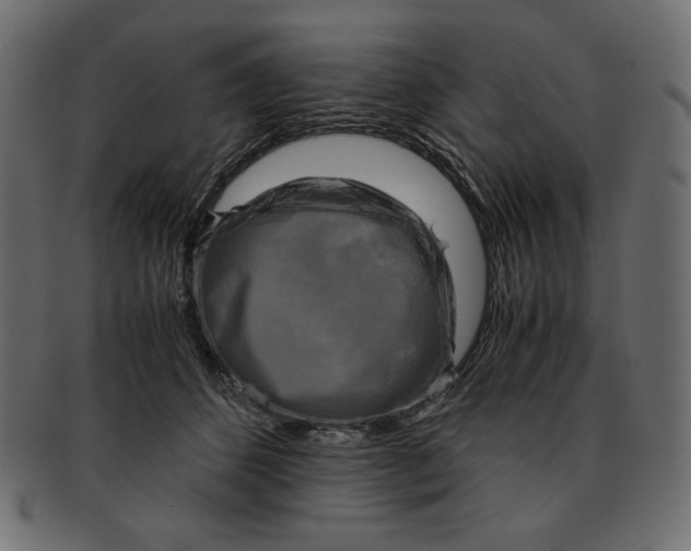 X0000091920512200710031042