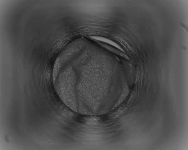 X0000091920513200710031042