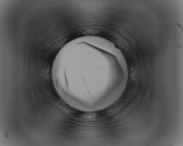X0000091920514200710031042