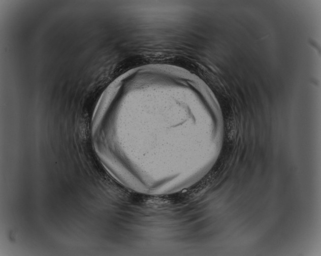 X0000091920515200710031042