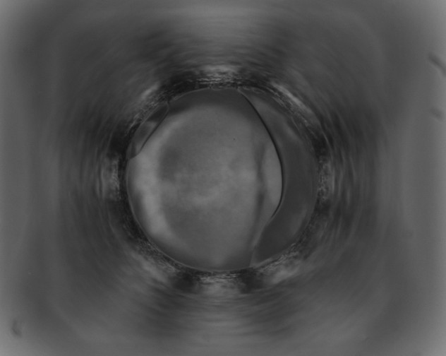 X0000091920516200710031042
