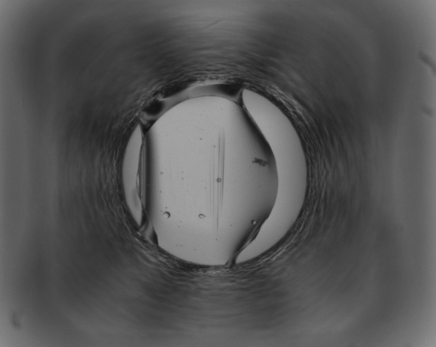 X0000091920517200710031042