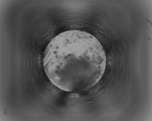 X0000091920519200710031042