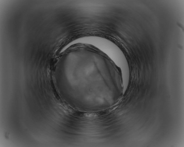 X0000091920520200710031042