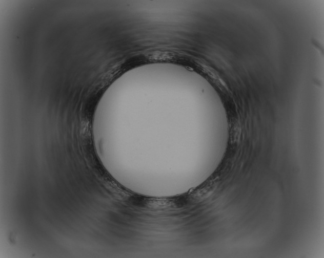 X0000091920521200710031042