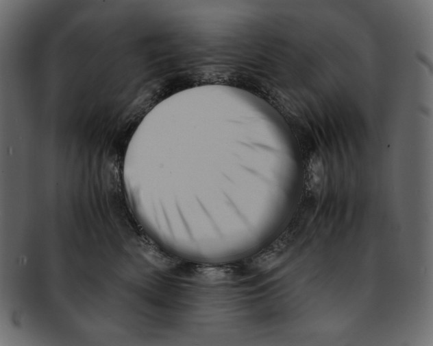 X0000091920522200710031042