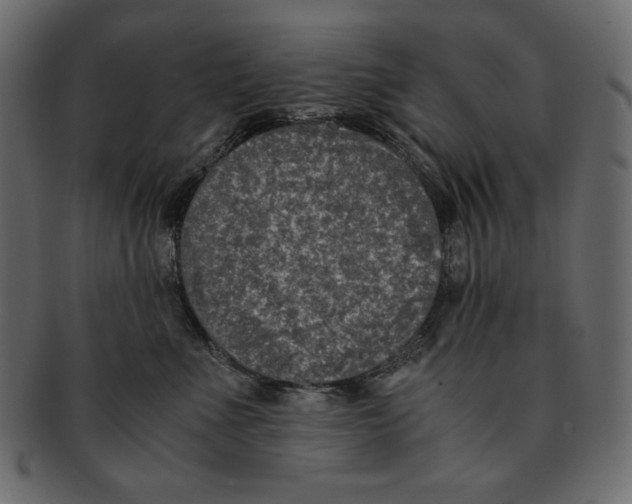 X0000091920523200710031042