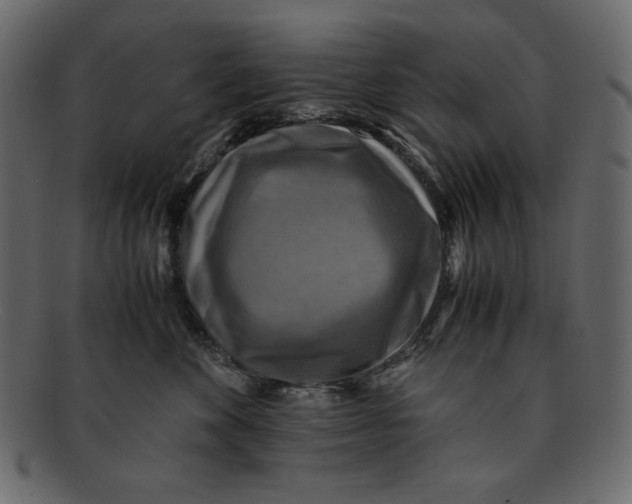 X0000091920524200710031042