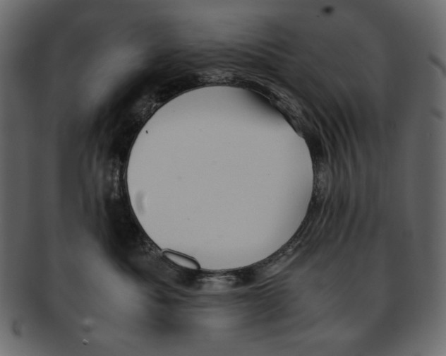 X0000091920525200710031042
