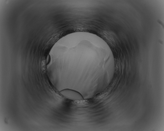 X0000091920526200710031042