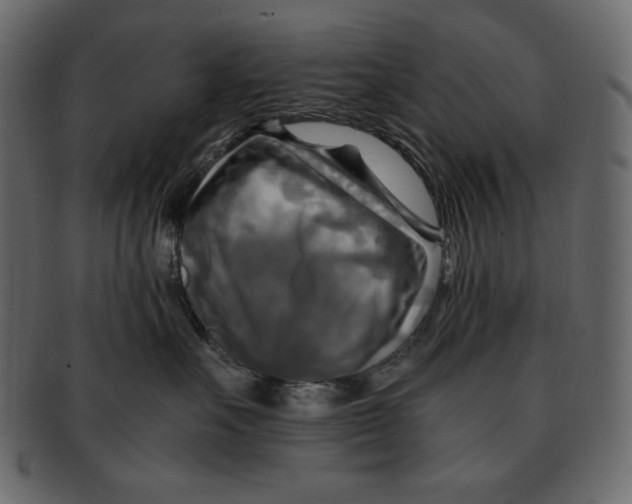 X0000091920527200710031042