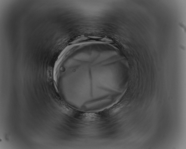 X0000091920528200710031042