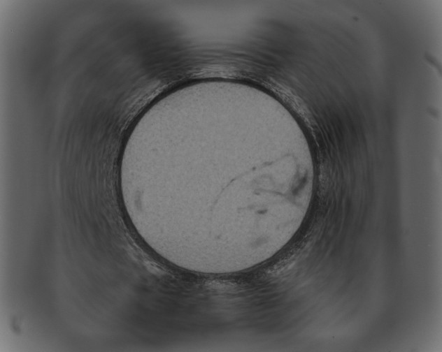 X0000091920529200710031041