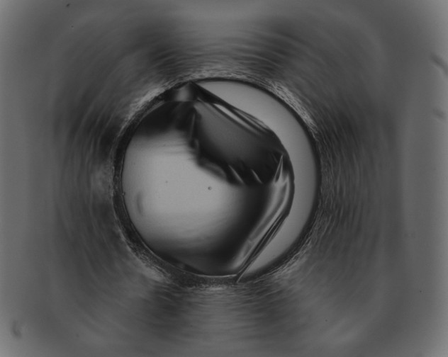 X0000091920530200710031041