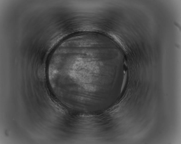 X0000091920531200710031041