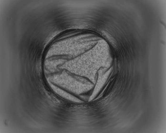 X0000091920532200710031041