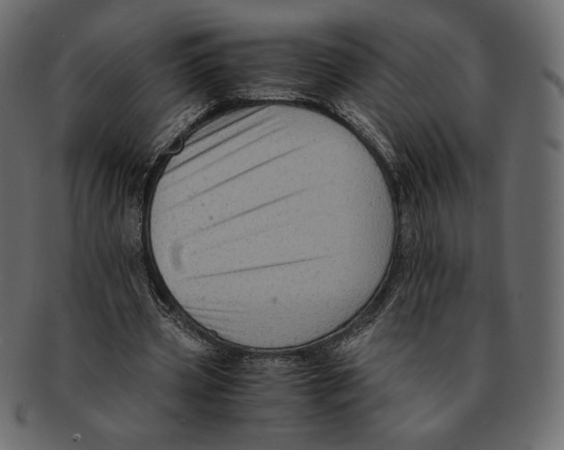X0000091920533200710031041