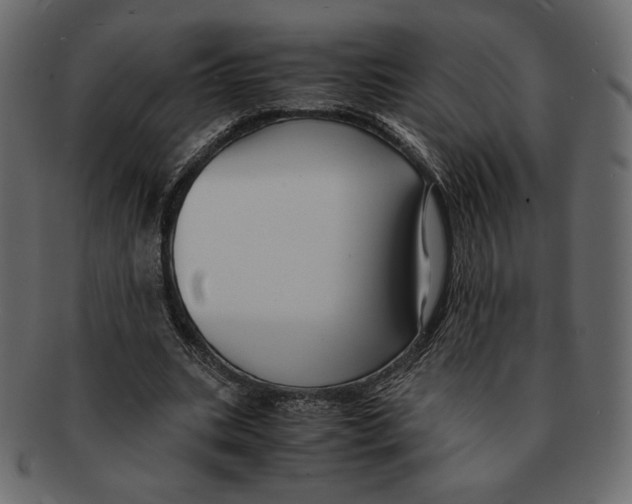 X0000091920535200710031041