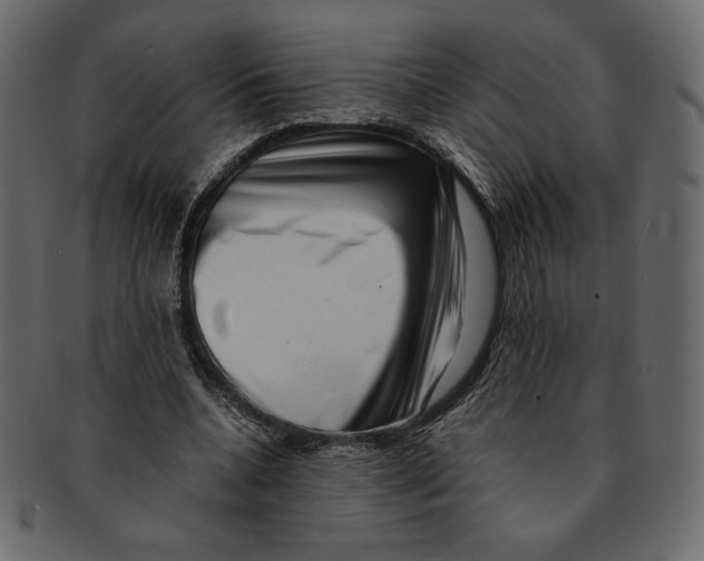 X0000091920536200710031041
