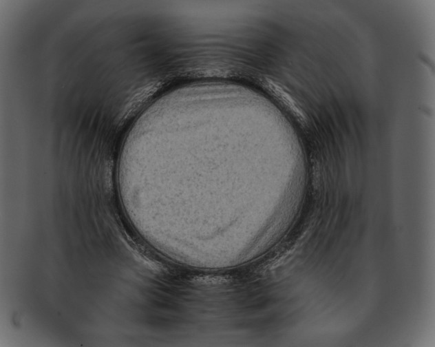 X0000091920537200710031041