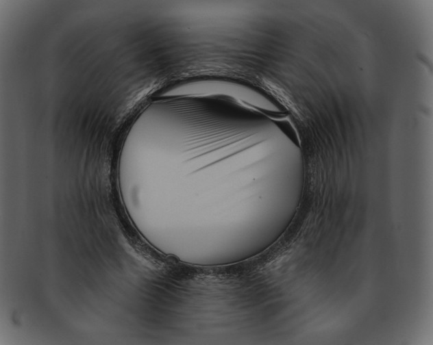 X0000091920538200710031041