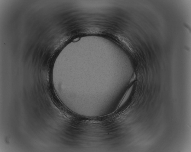 X0000091920539200710031041