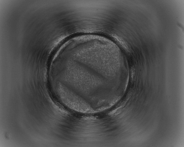 X0000091920540200710031041