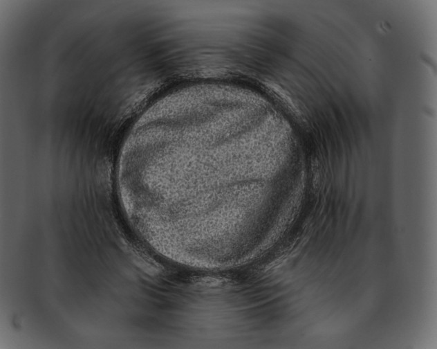 X0000091920542200710031041