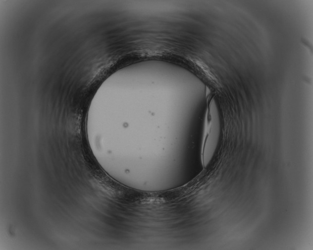 X0000091920543200710031041